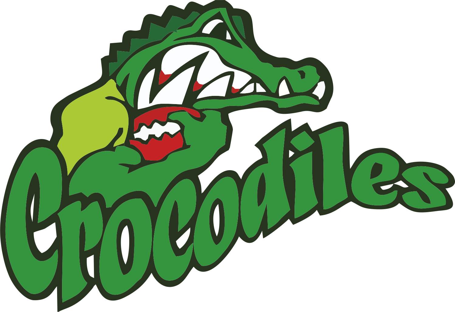 Swimming with the Seinäjoki Crocodiles: Palletower’s New Sponsorship in Action